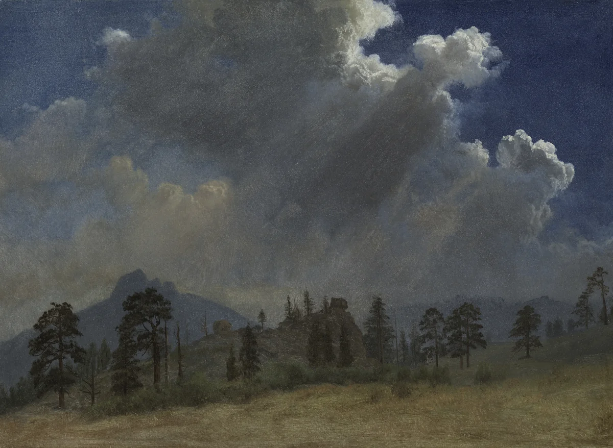 Fir Trees and Storm Clouds by Albert Bierstadt, painting, 1865-1875