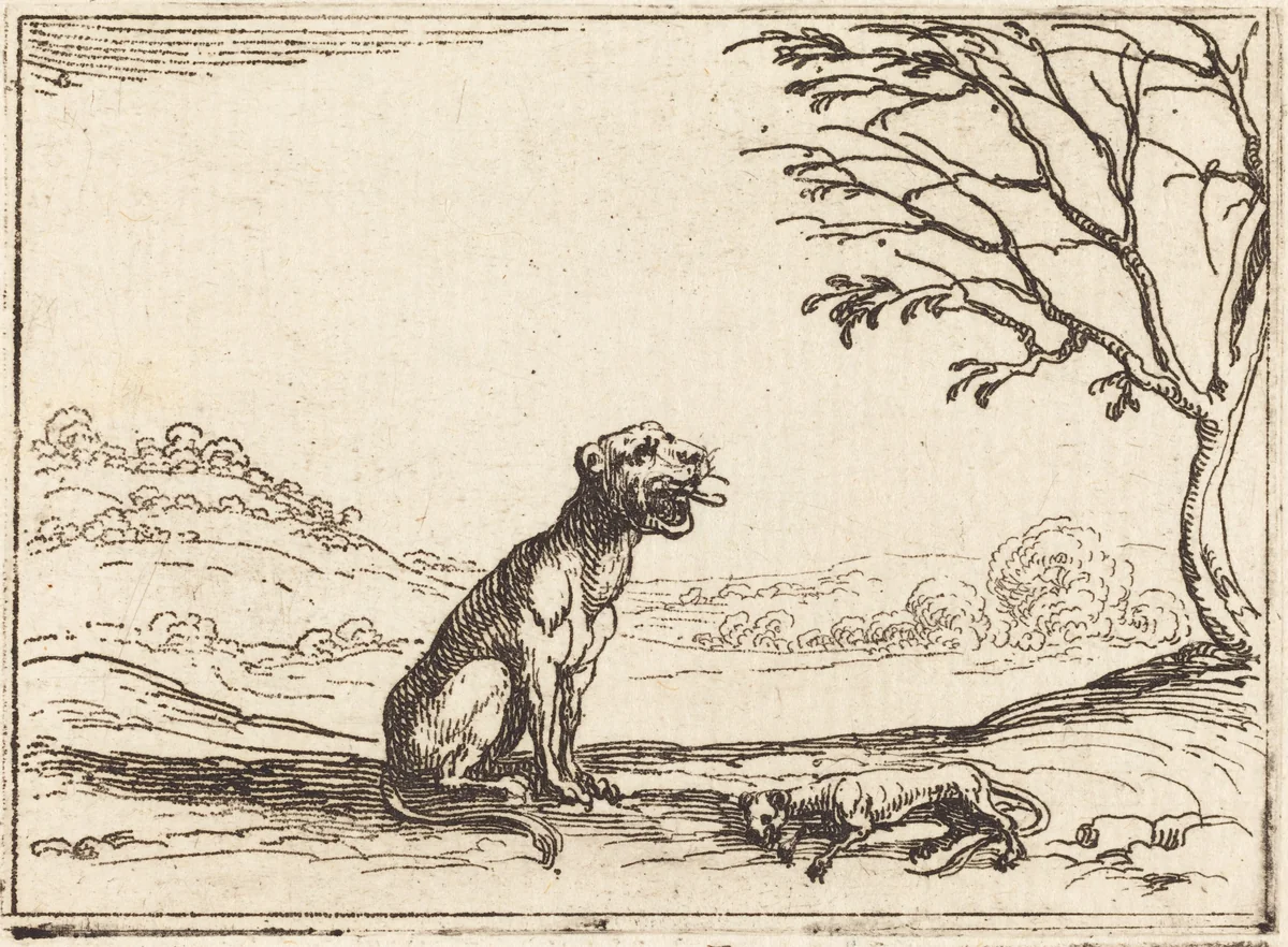 Lioness Mourning her Cub by Jacques Callot, print, 1592-1635
