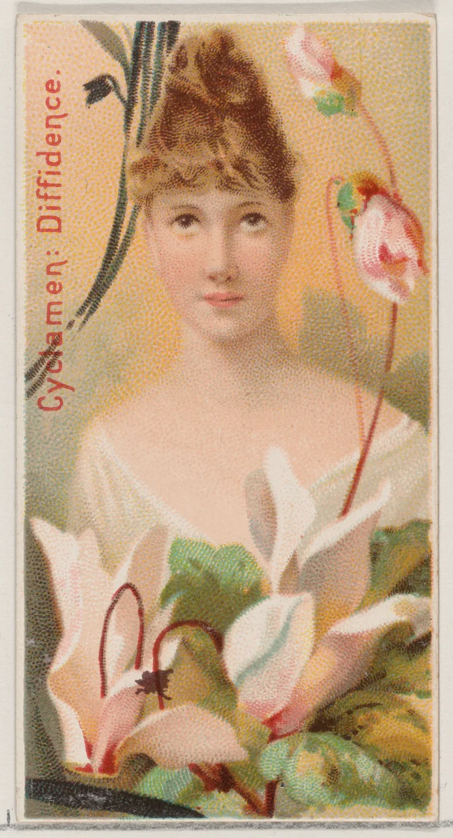 Cyclamen: Diffidence, from the series Floral Beauties and Language of Flowers (N75) for Duke brand cigarettes by American Tobacco Company, print, 1892