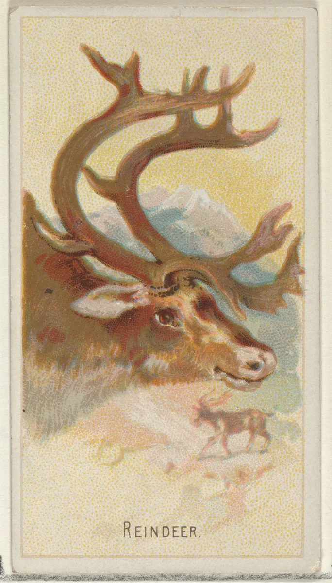 Reindeer, from the Wild Animals of the World series (N25) for Allen & Ginter Cigarettes by Allen & Ginter, print, 1888