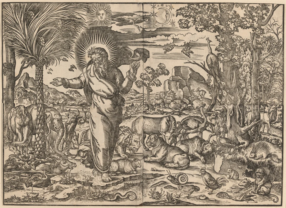The Creation of the Animals by Raphael, print, 1545-1555