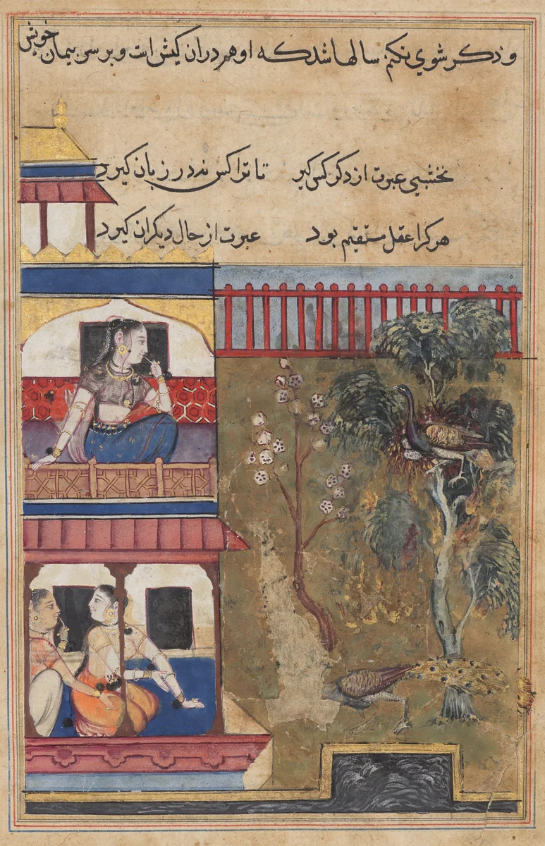 The queen of Rum watches the peahen prefer to burn rather than abandon her eggs while the peacock flees the nest, from a Tuti-nama (Tales of a Parrot): Thirty-ninth Night by Unknown, painting, 1555-1565