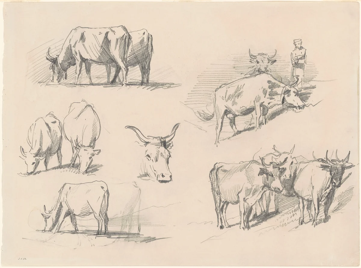 Studies of Cattle by John Singer Sargent, drawing, 1867-1877