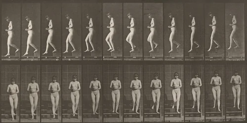 Plate Number 128. Descending stairs with hands clasped by Eadweard Muybridge, photograph, 1887