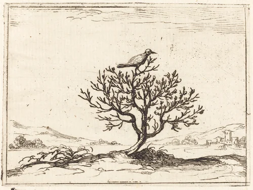 Nightingale in a Bush by Jacques Callot, print, 1628