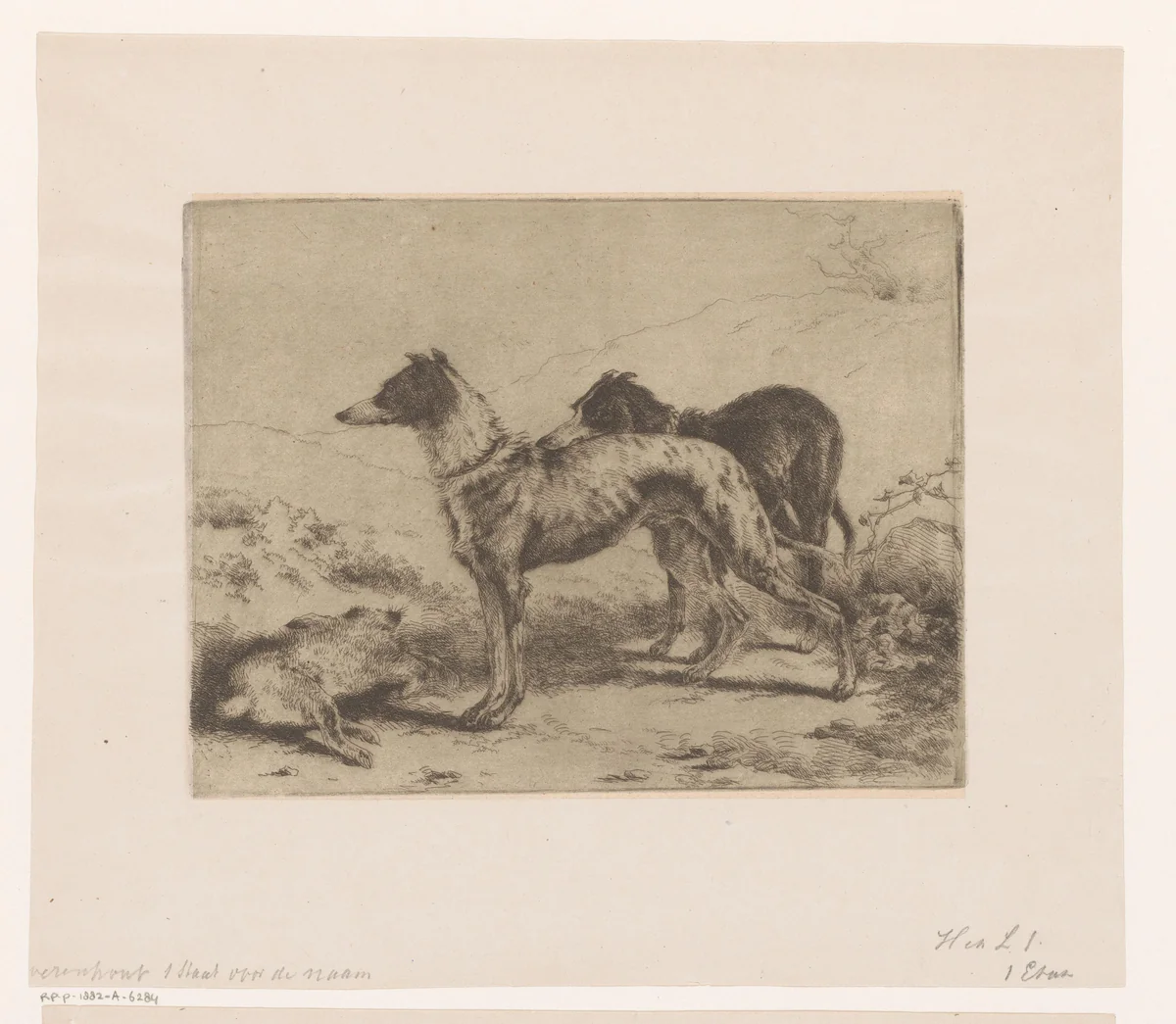 Twee hazewindhonden bij een dode haas by Joseph Moerenhout, print, 1811-1874