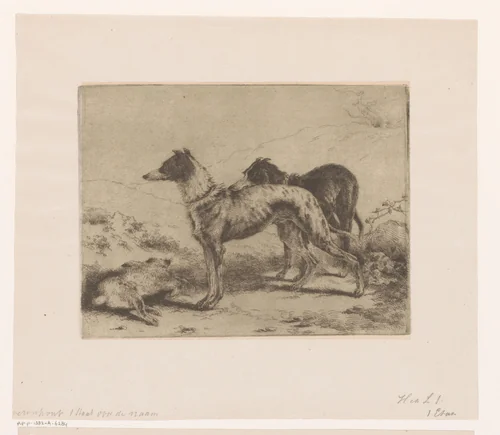 Twee hazewindhonden bij een dode haas by Joseph Moerenhout, print, 1811-1874
