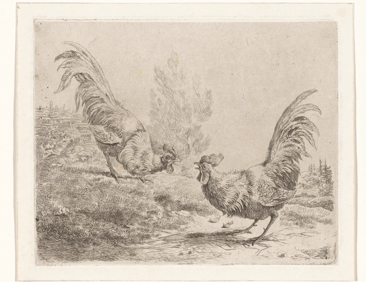 Twee vechtende hanen by Albertus Verhoesen, print, 1816-1881