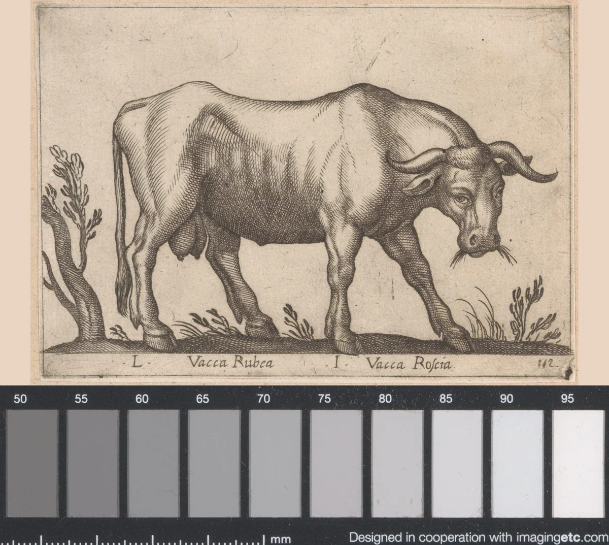 Rode vaars by Antonio Tempesta, print, 1565-1630