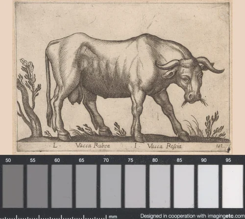 Rode vaars by Antonio Tempesta, print, 1565-1630