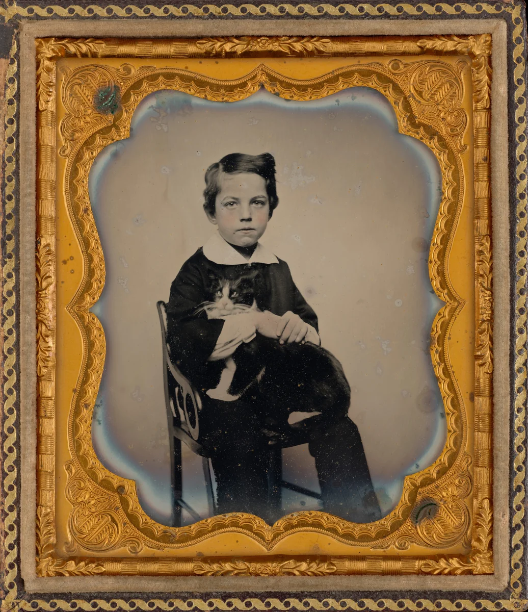 Portrait of a Boy and Cat by American 19th Century, photograph, 1855-1865