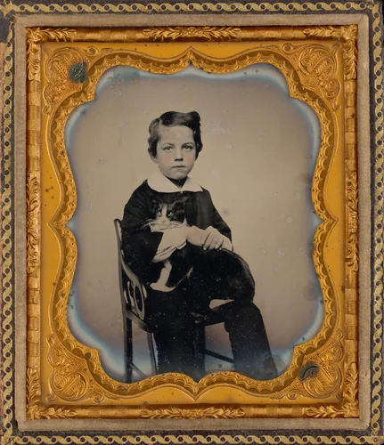 Portrait of a Boy and Cat by American 19th Century, photograph, 1855-1865