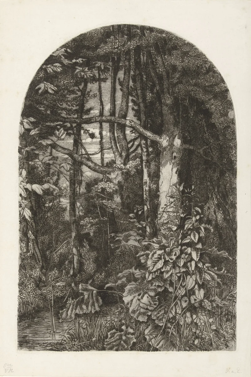 Bos met beek by Jacobus Ludovicus Cornet, print, 1825-1882