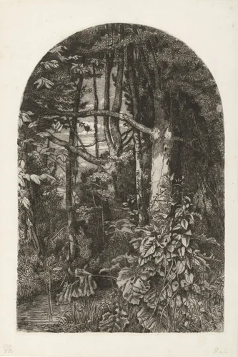 Bos met beek by Jacobus Ludovicus Cornet, print, 1825-1882