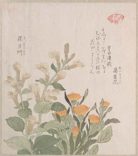 The Common Marigold and The Rajoman Flowers by Kubo Shunman (窪俊満), print, 1800-1899