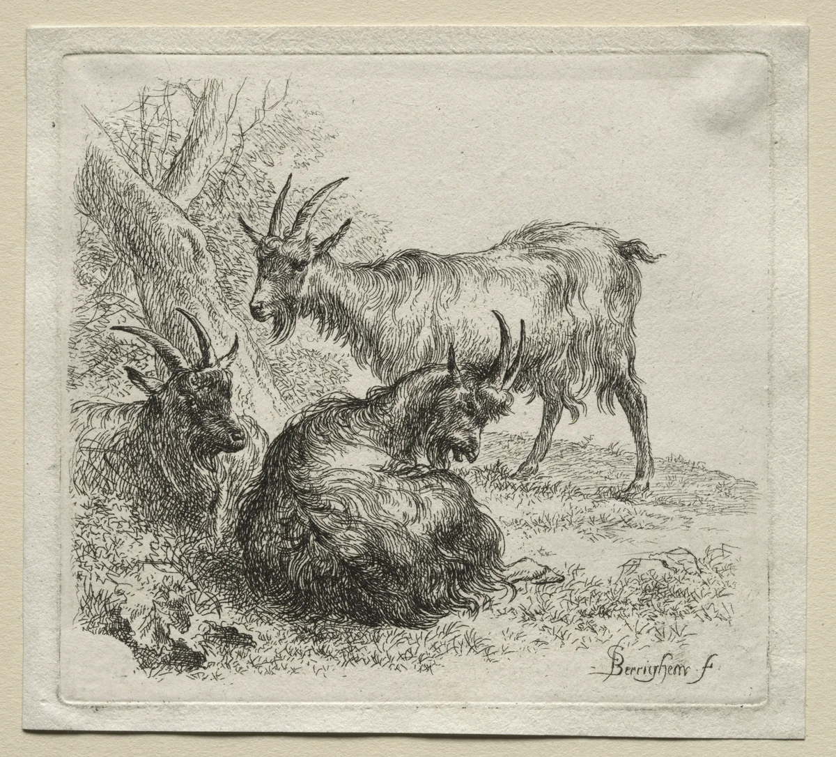 Animalia: Three Goats by Nicolaes Berchem, print, 1635-1683