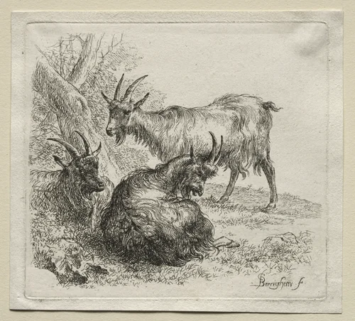 Animalia: Three Goats by Nicolaes Berchem, print, 1635-1683