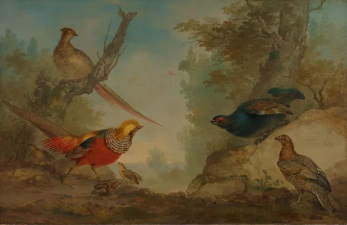 Pheasants by Aert Schouman, painting, 1730-1760