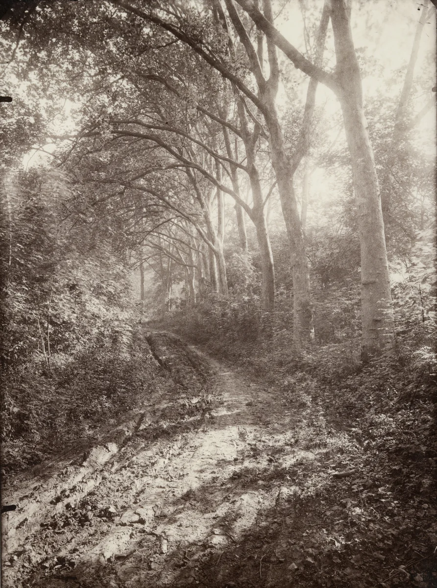 Sceaux by Eugène Atget, photograph, 1925