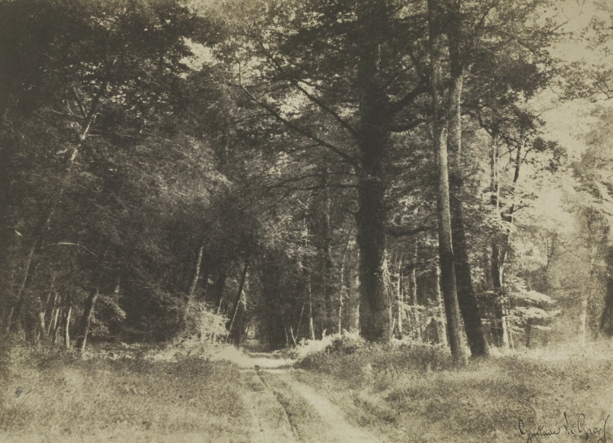 Pathway in the Forest of Fontainebleau by Gustave Le Gray, photograph, 1849-1852