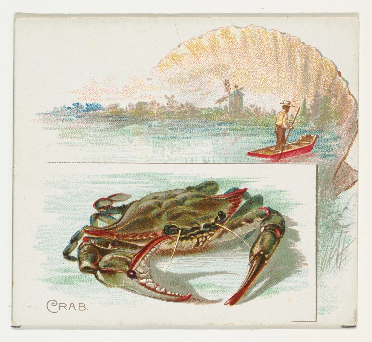 Crab, from Fish from American Waters series (N39) for Allen & Ginter Cigarettes by Allen & Ginter, print, 1889