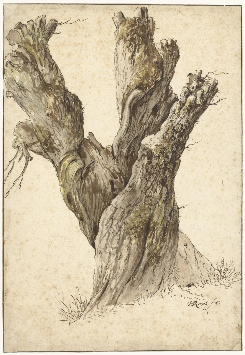 Een knotwilg by Johann Heinrich Roos, drawing, 1641-1685