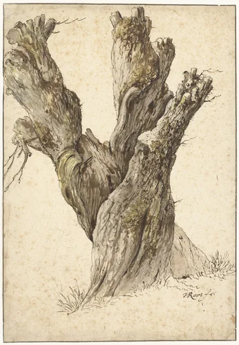 Een knotwilg by Johann Heinrich Roos, drawing, 1641-1685
