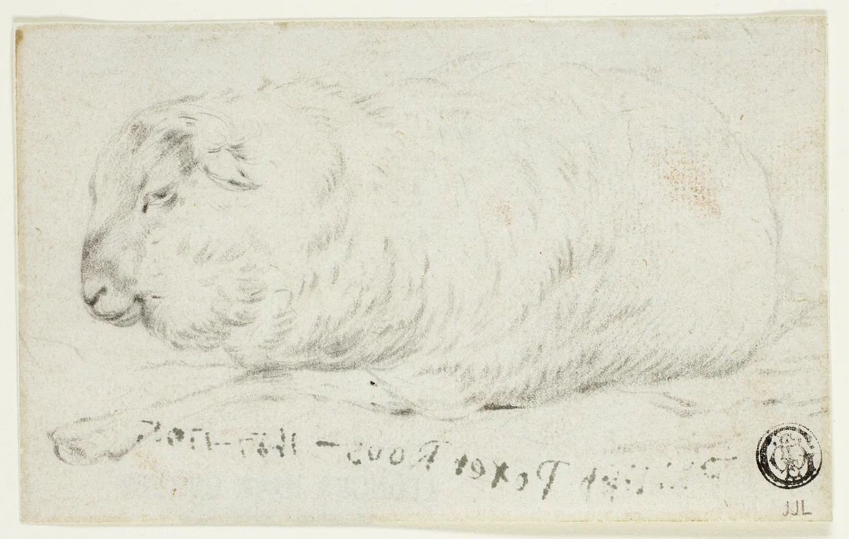 Sheep Lying Down by Johann Heinrich Roos, drawing, 1651-1685