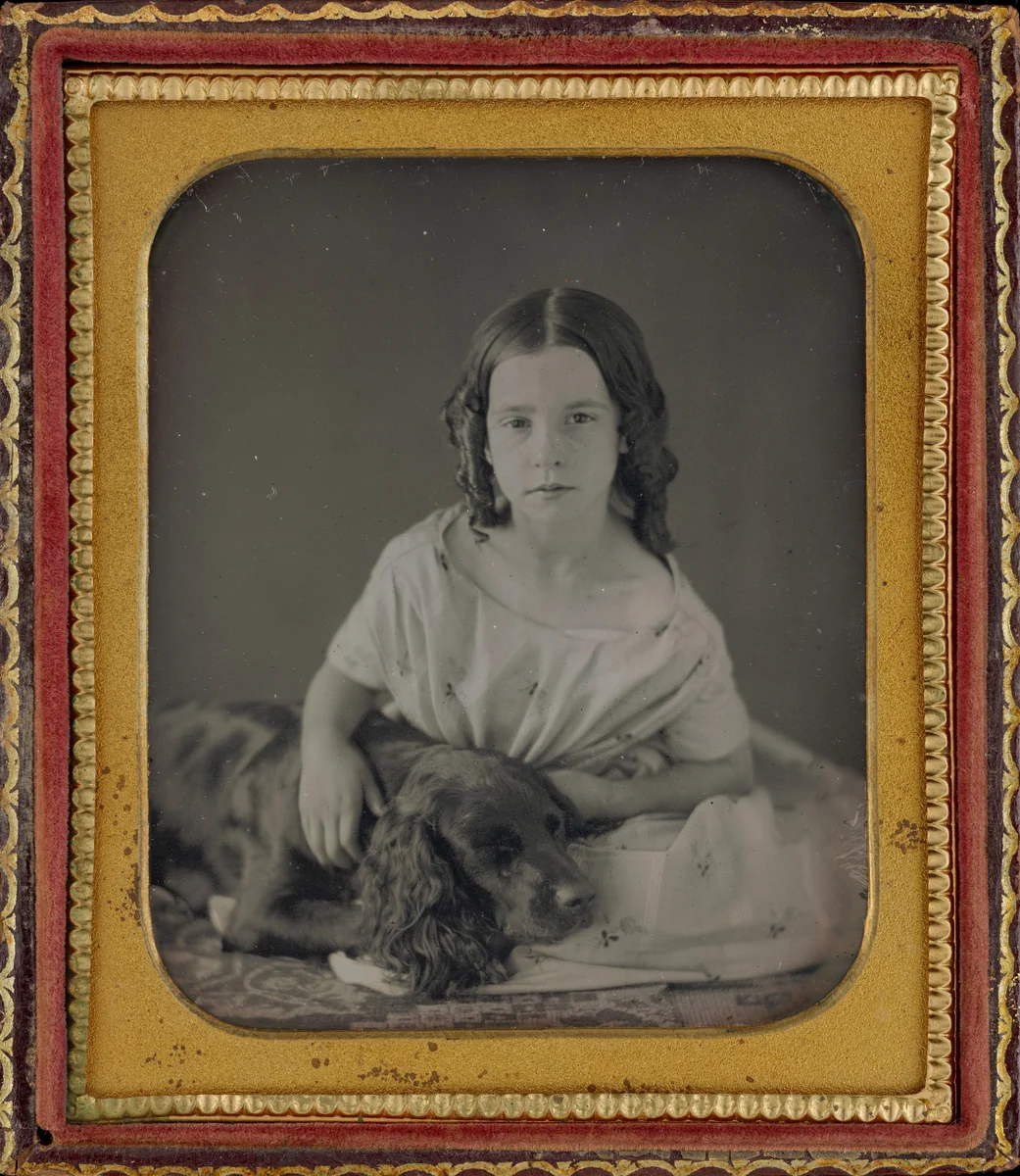 Portrait of a Girl and Dog by American 19th Century, photograph, 1845-1855