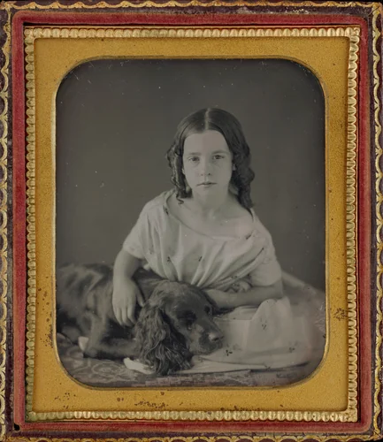 Portrait of a Girl and Dog by American 19th Century, photograph, 1845-1855