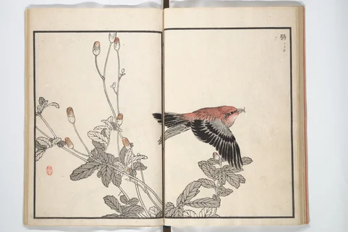 Bairei Picture Album of One Hundred Birds (Bairei hyakuchō gafu) 楳嶺百鳥畫譜 by Kōno Bairei (幸野楳嶺), book, 1881-1884