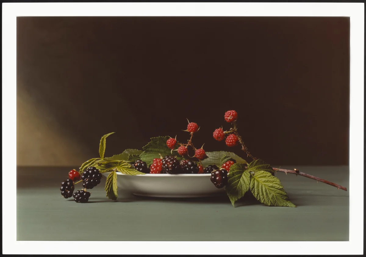 Blackberries by Sharon Core, photograph, 2008