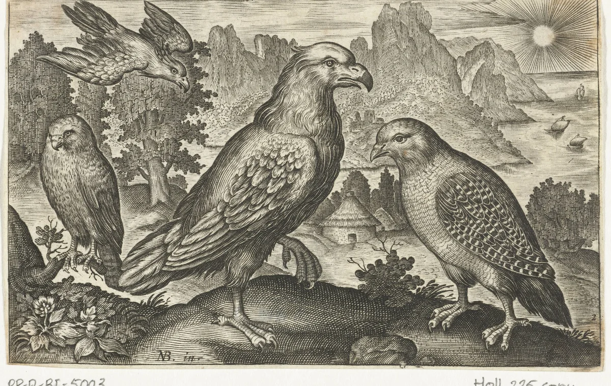 Arend en andere roofvogels by anonymous, print, 1594-1644