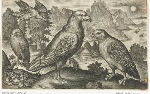 Arend en andere roofvogels by anonymous, print, 1594-1644