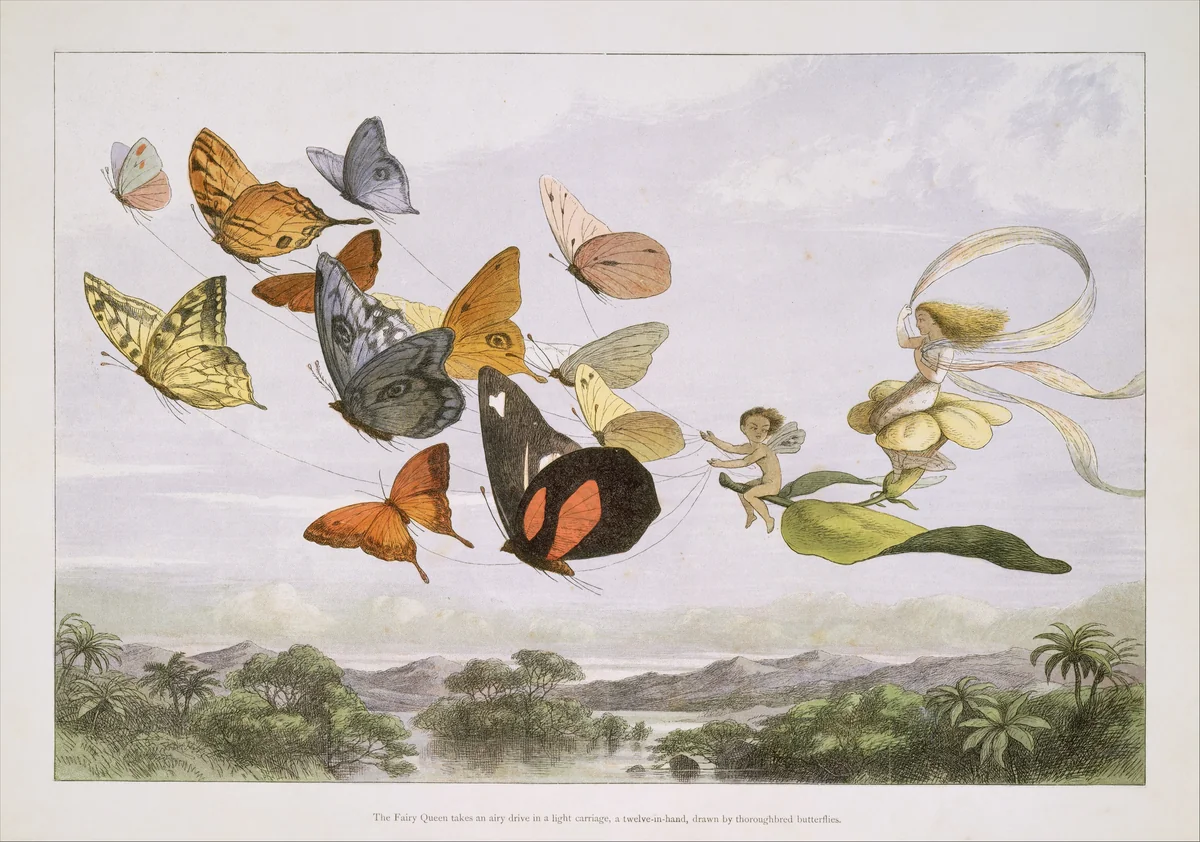 The Fairy Queen Takes an Airy Drive in a Light Carriage, a Twelve-in-hand, drawn by Thoroughbred Butterflies by Richard Doyle, print, 1870