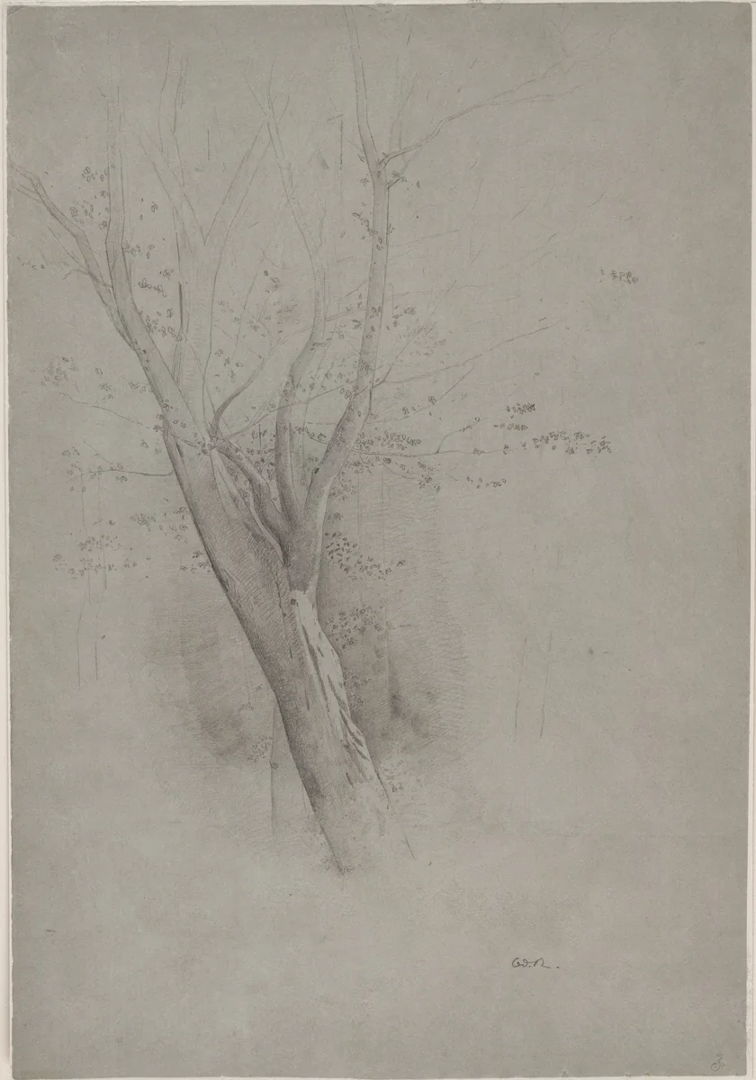Trees by Odilon Redon, drawing, 1865