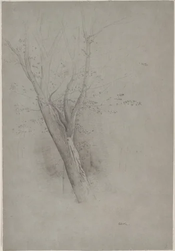 Trees by Odilon Redon, drawing, 1865