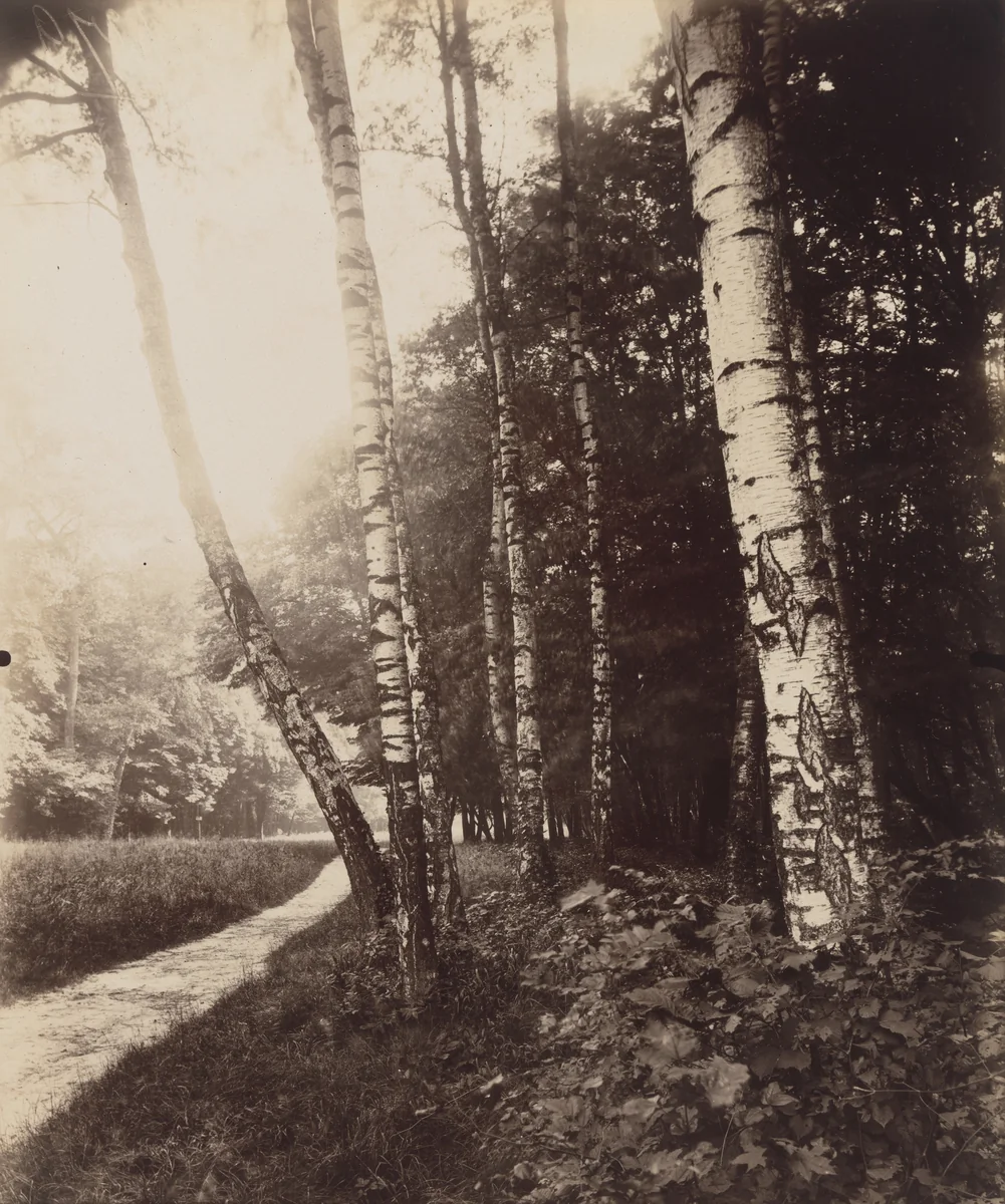 Parc de Saint-Cloud by Eugène Atget, photograph, 1926