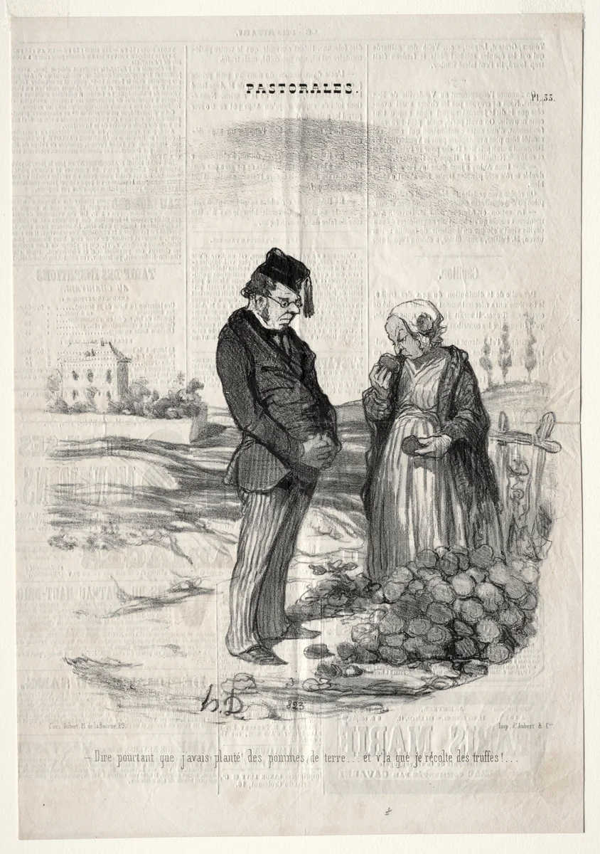 How strange.... I had planted potatoes, and here I am harvesting truffles! by Honoré Daumier, print, 1845