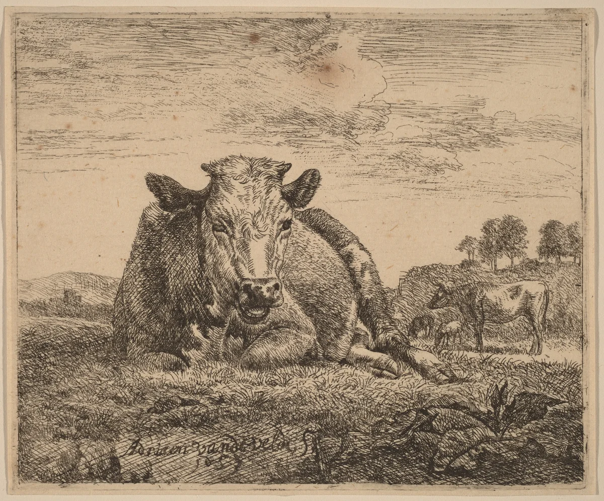 Recumbent Cow by Adriaen van de Velde, print, 1657
