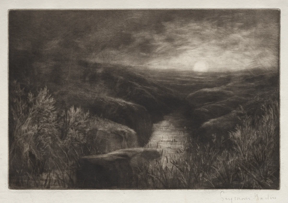 Haunt of the Mosquito by Francis Seymour-Haden, print