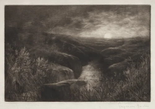 Haunt of the Mosquito by Francis Seymour-Haden, print