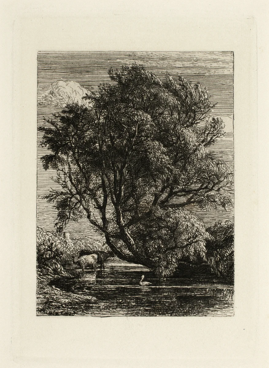 The Willow by Samuel Palmer, print, 1825-1881