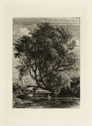 The Willow by Samuel Palmer, print, 1825-1881