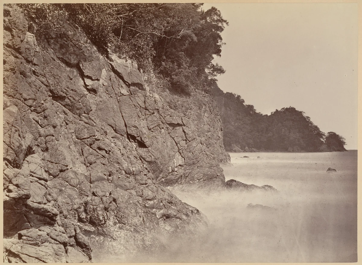 Tropical Scenery, Cliff - Limon Bay by John Moran, photograph, 1871