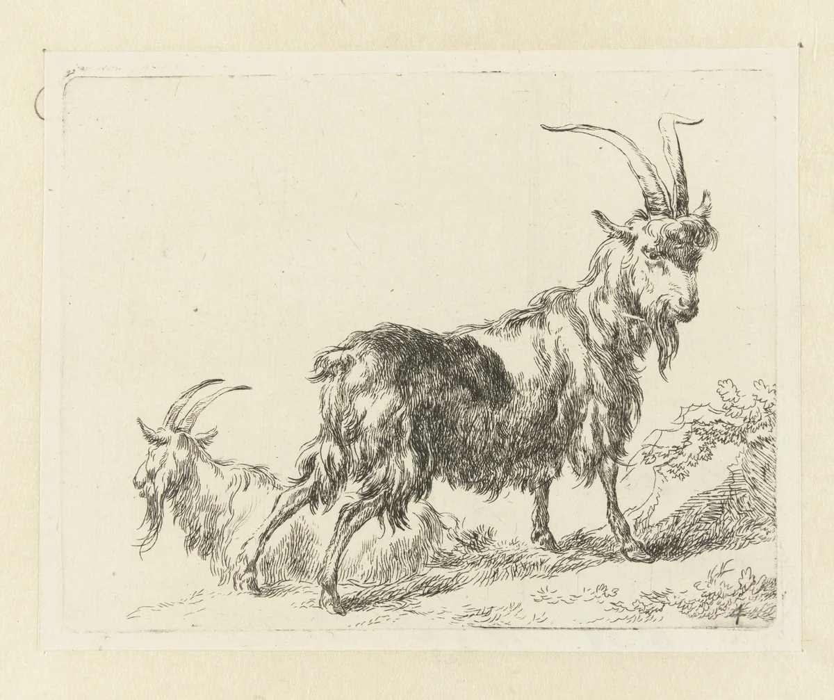 Twee geiten of bokken by Nicolaes Pietersz Berchem, print, 1648-1652