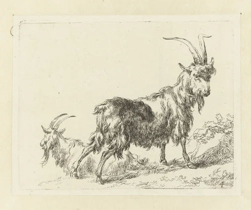 Twee geiten of bokken by Nicolaes Pietersz Berchem, print, 1648-1652