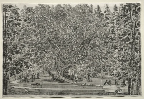 Views of the Villa of Pratolino: The Inhabited Tree by Stefano della Bella, print, 1648-1658
