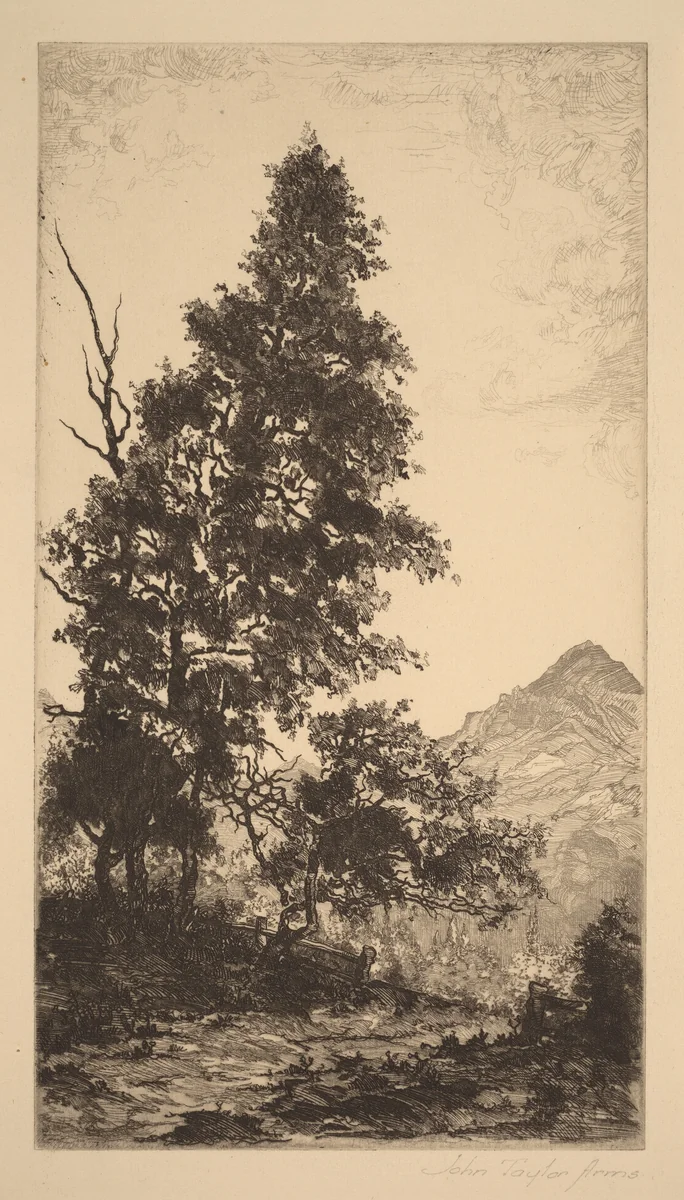 Road to the Pasture, Somewhere in Maine by John Taylor Arms, print, 1920