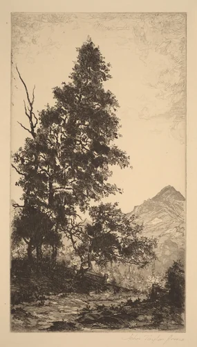 Road to the Pasture, Somewhere in Maine by John Taylor Arms, print, 1920